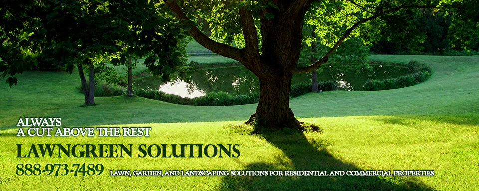 Lawngreen Solutions, Green Solutions Landscaping