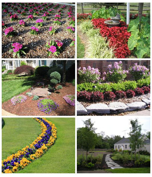 Flower Planting